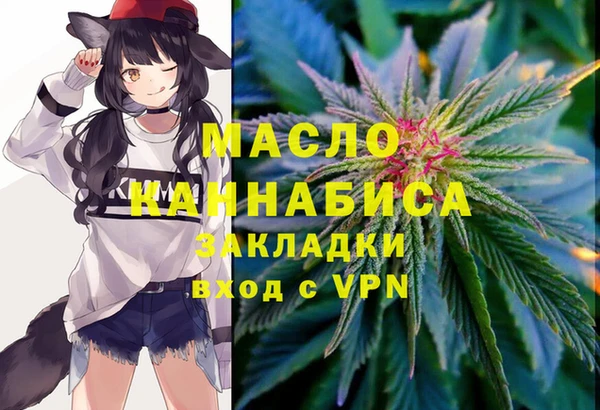 винт Няндома
