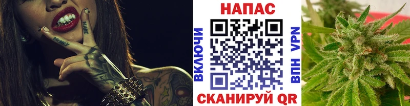 где купить наркотик  Орехово-Зуево  Каннабис конопля 